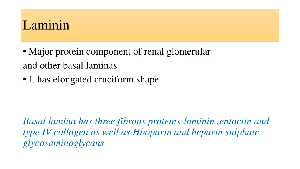laminin