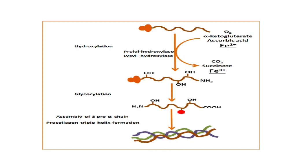 slide11