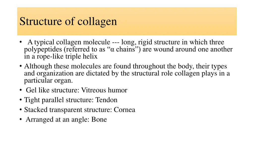 structure of collagen