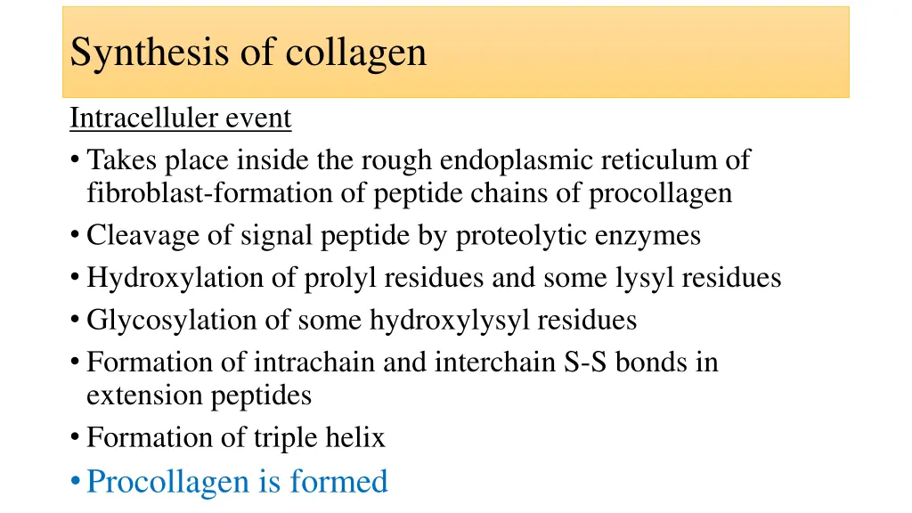 synthesis of collagen