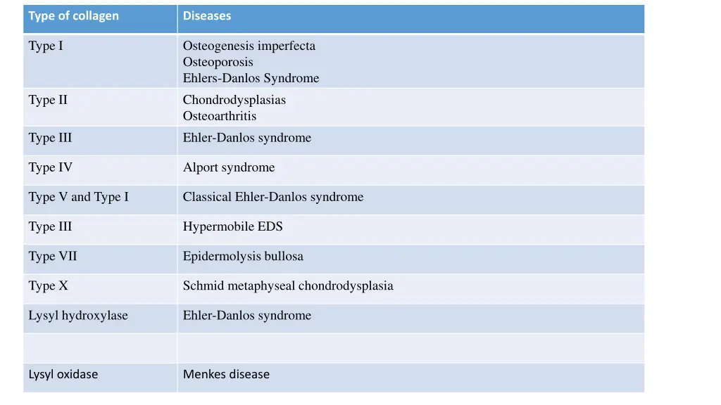 type of collagen