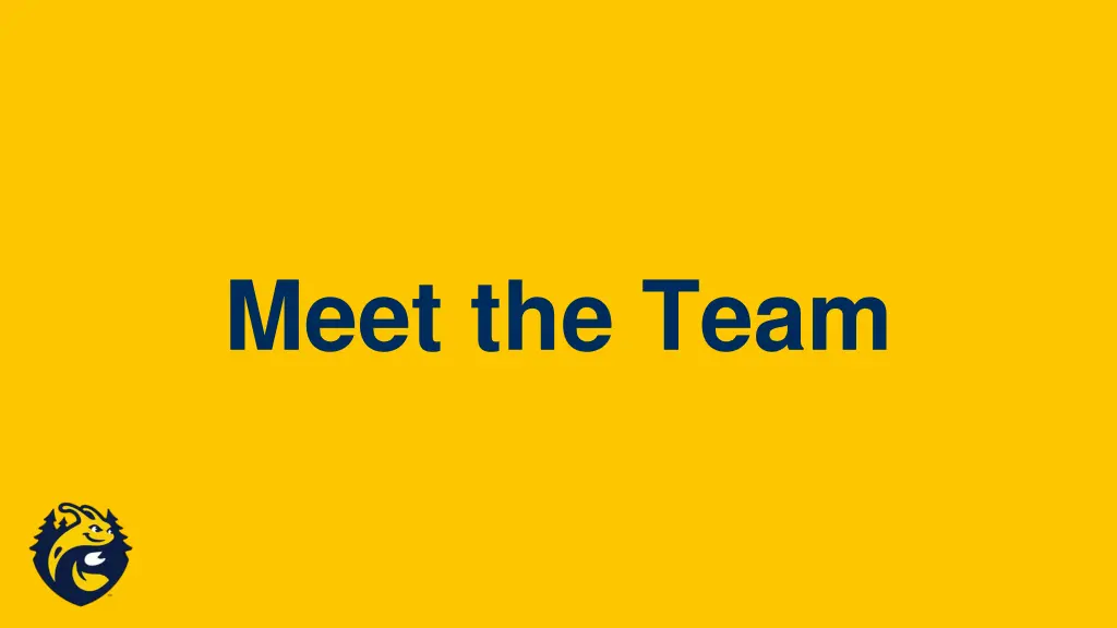 meet the team
