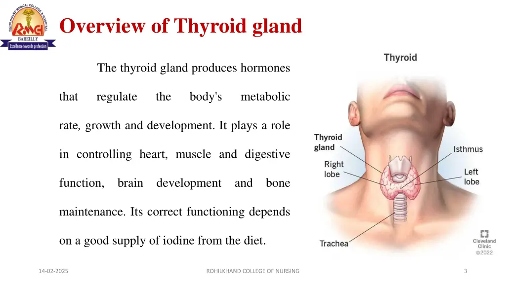 overview of thyroid gland