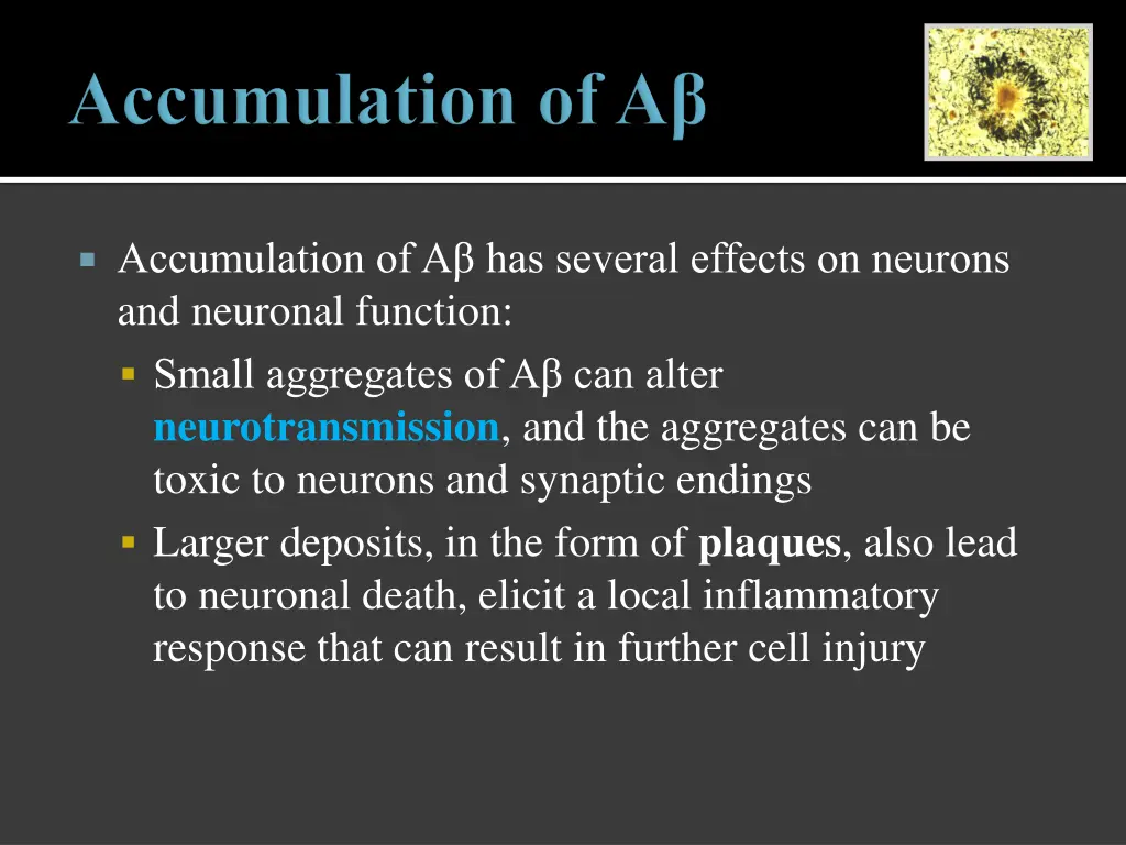 accumulation of a has several effects on neurons