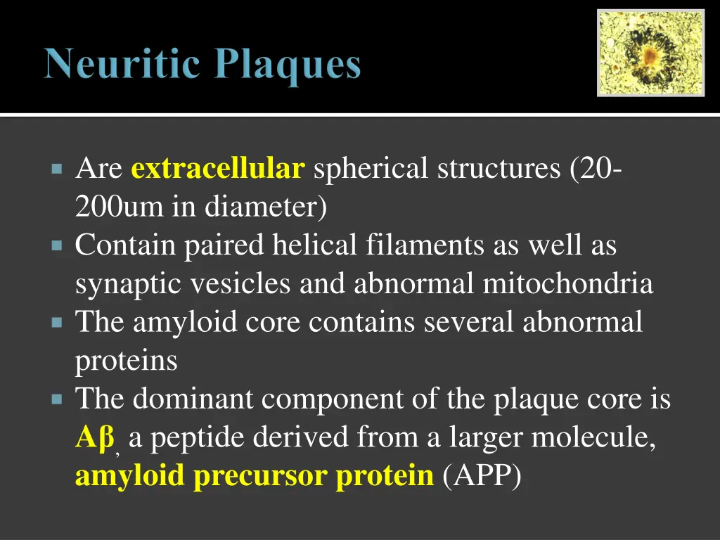 are extracellular spherical structures 20 200um