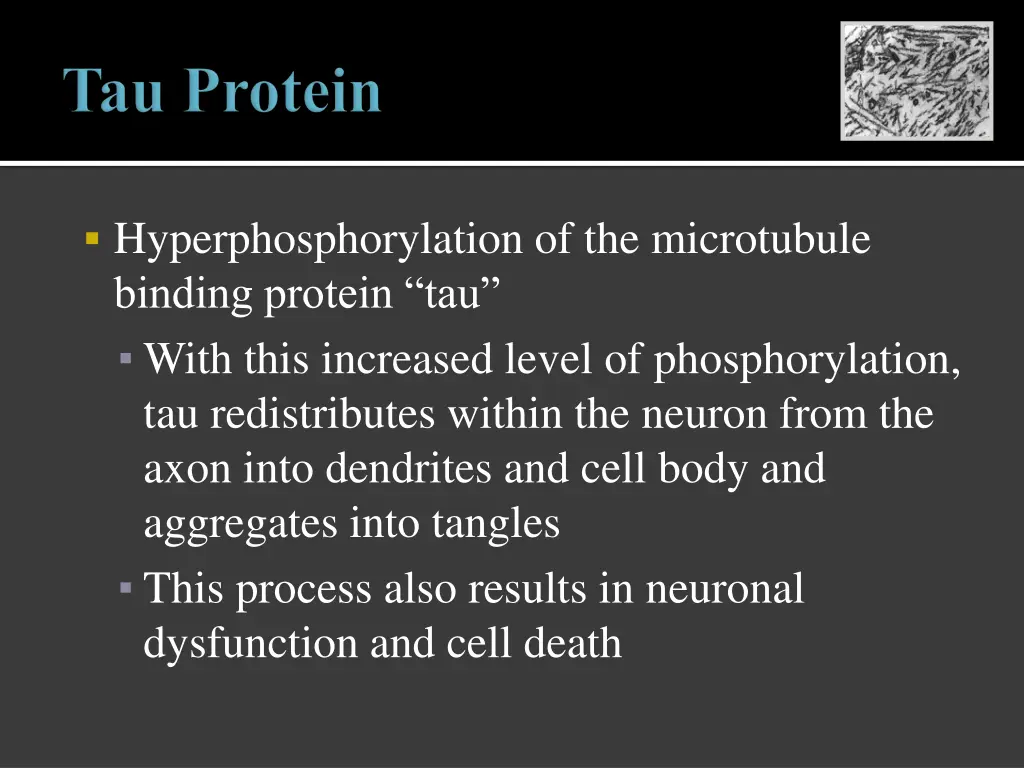 hyperphosphorylation of the microtubule binding