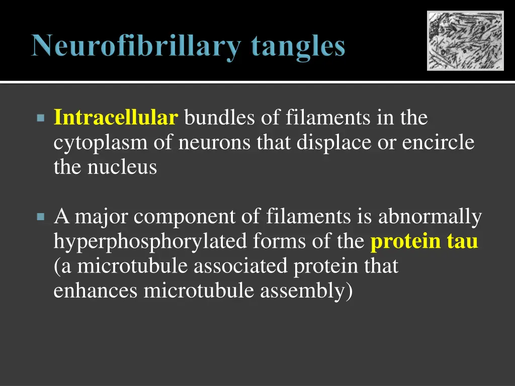 intracellular bundles of filaments