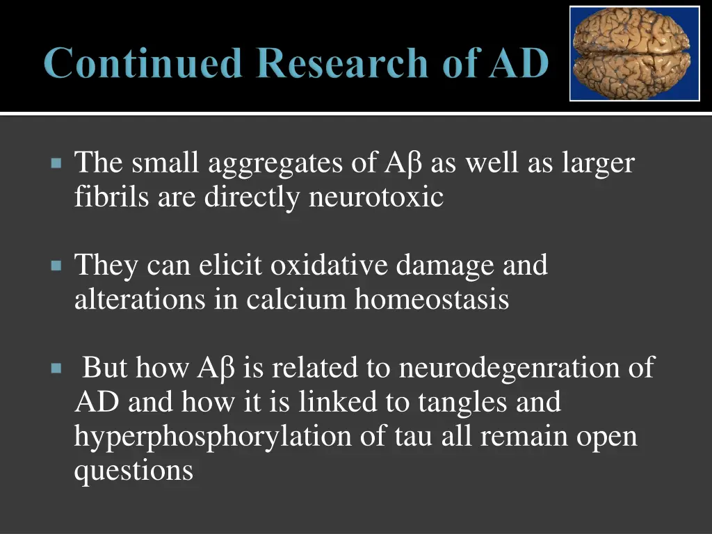 the small aggregates of a as well as larger