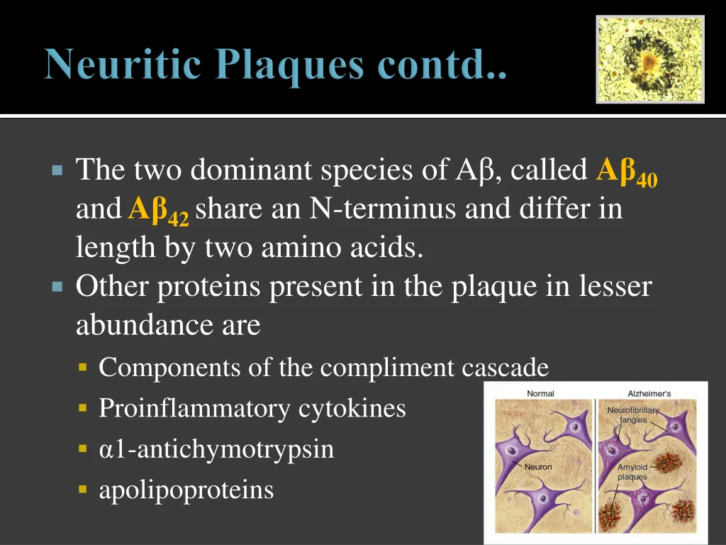 the two dominant species of a called