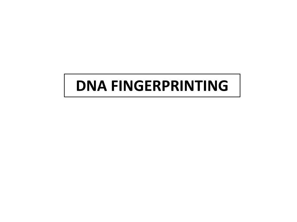 dna fingerprinting