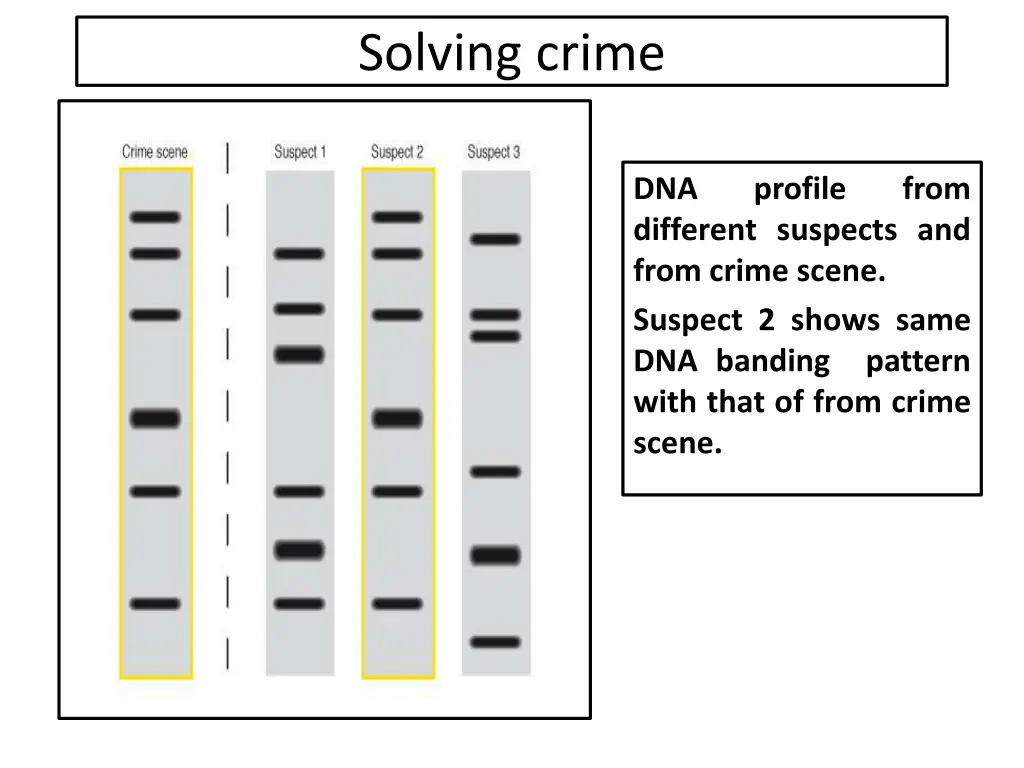 solving crime