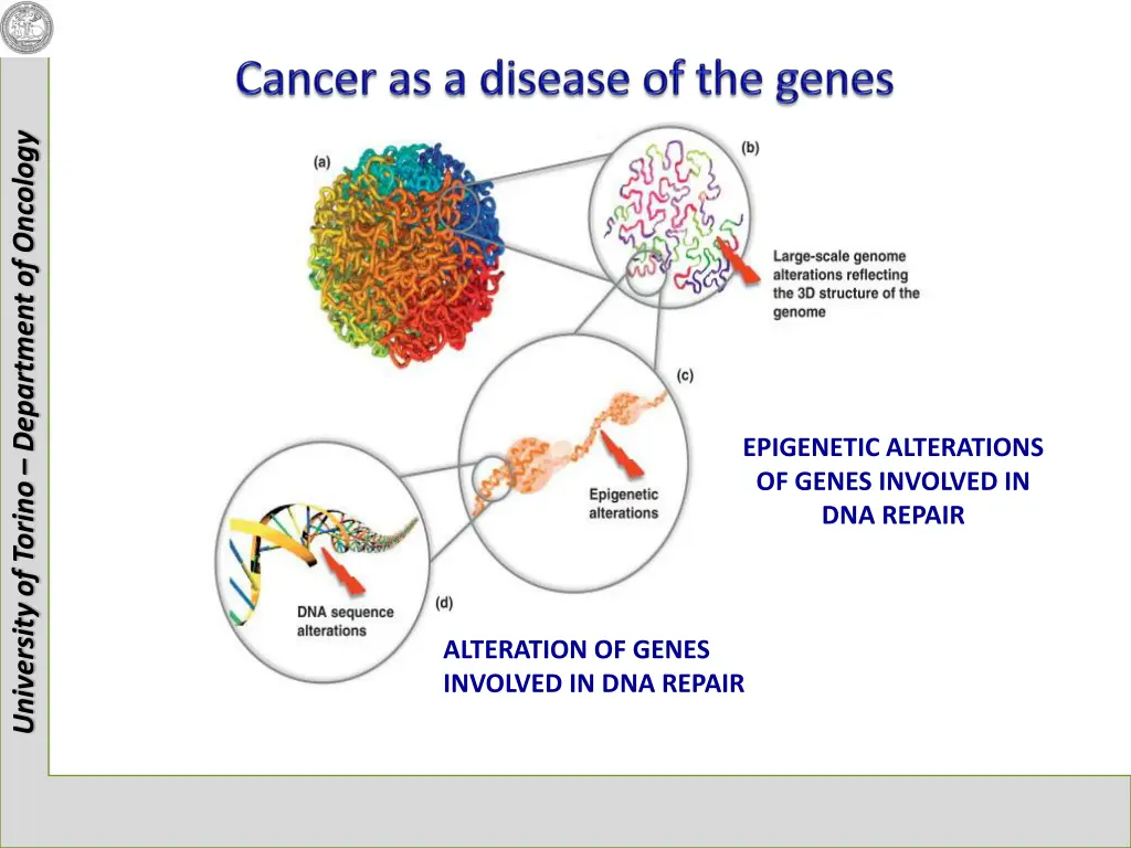 university of torino department of oncology 21