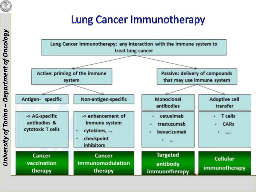 university of torino department of oncology 28