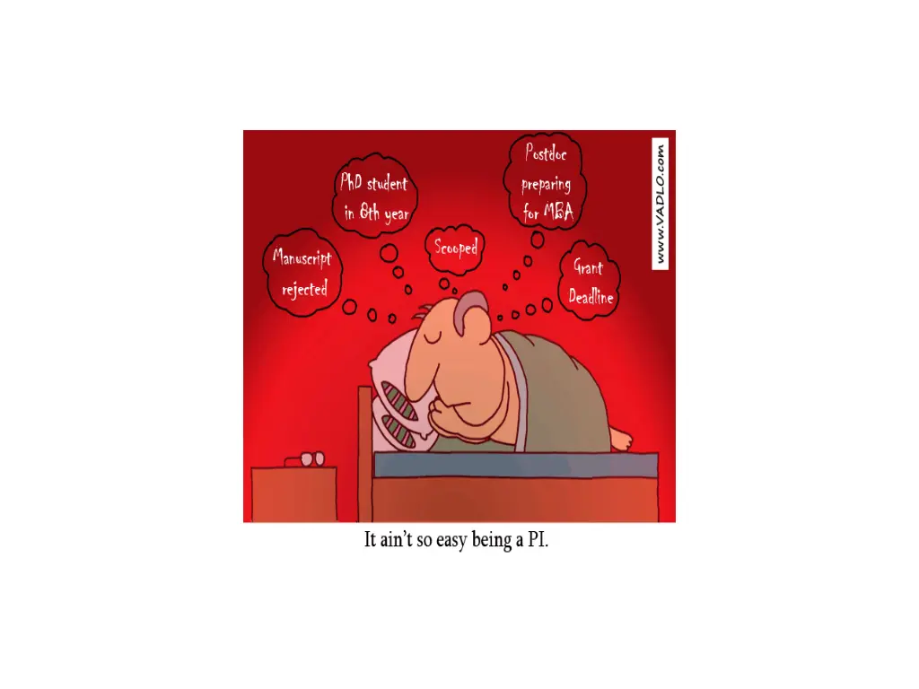 slide36
