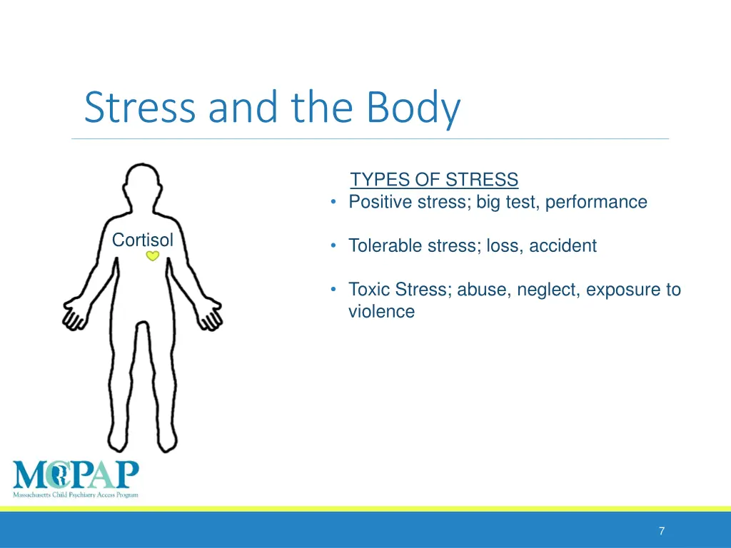stress and the body