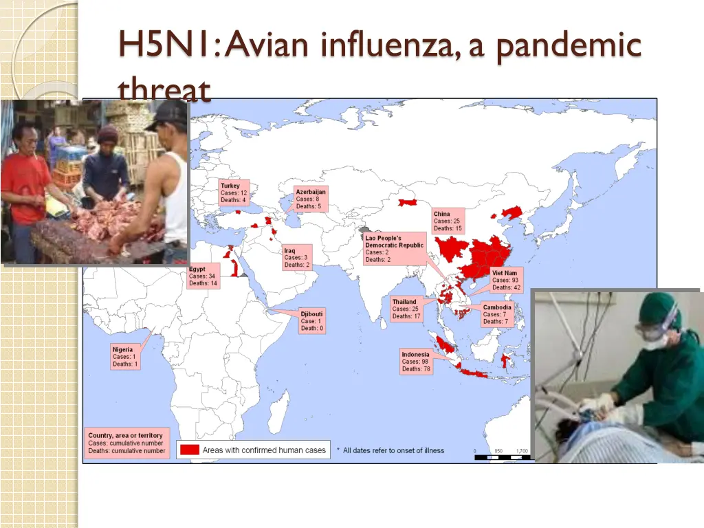h5n1 avian influenza a pandemic threat