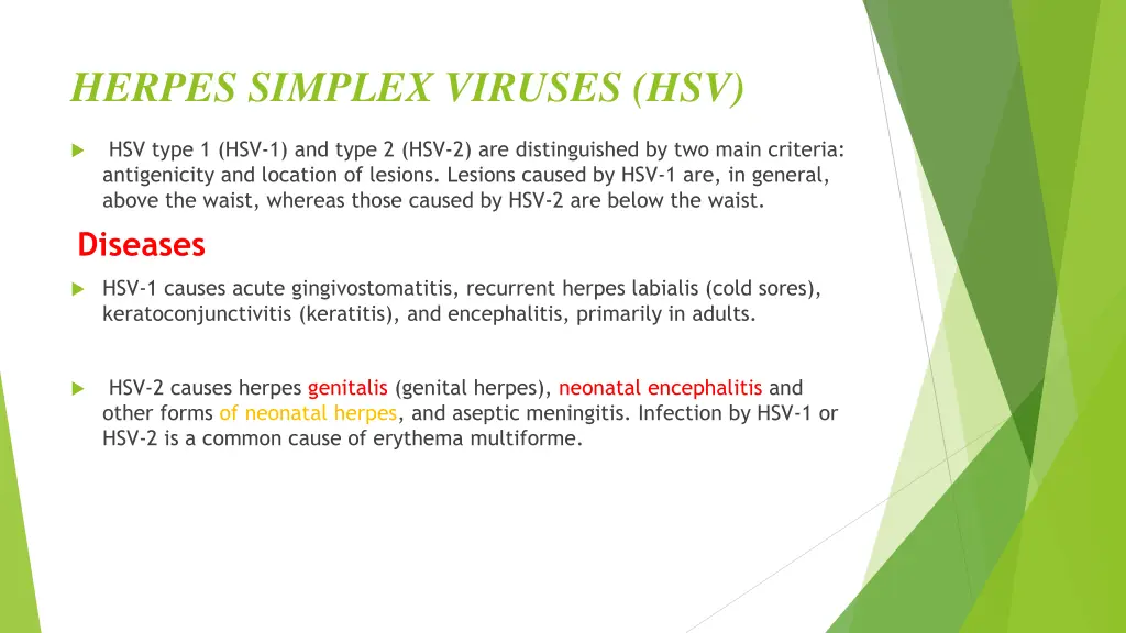 herpes simplex viruses hsv