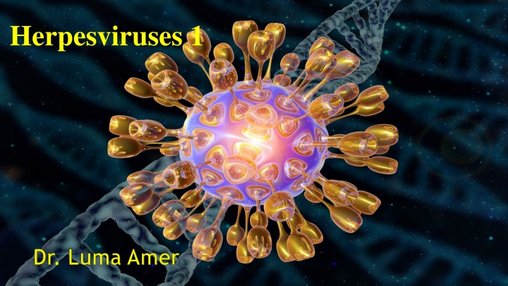 herpesviruses 1