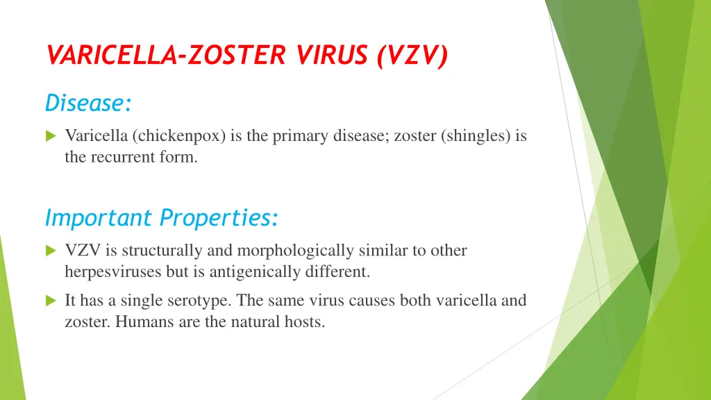 varicella zoster virus vzv