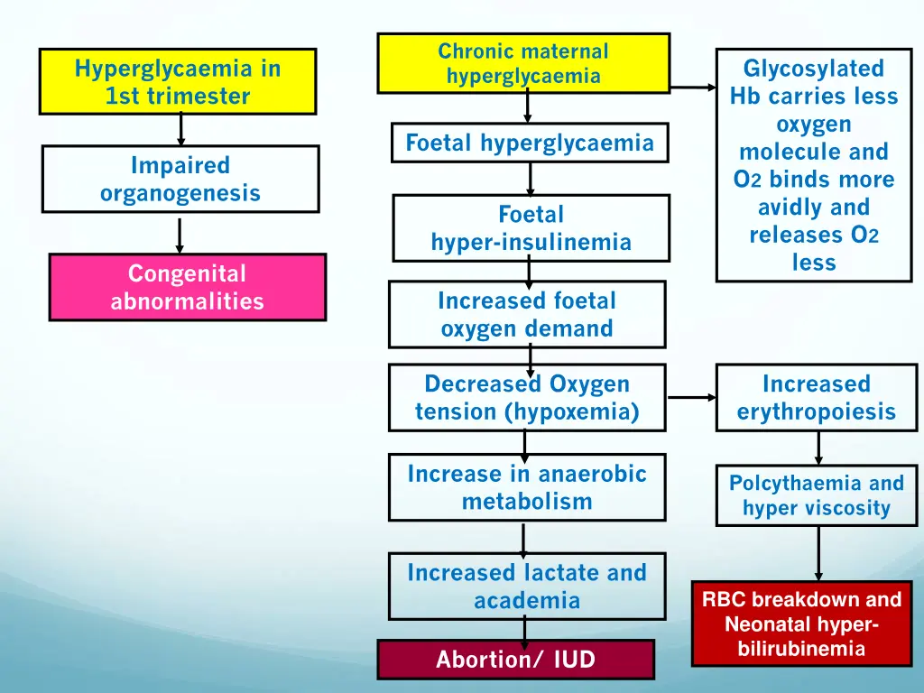 chronic maternal hyperglycaemia