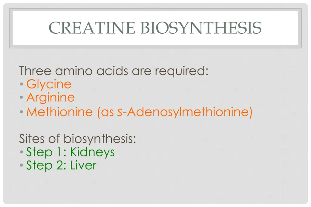 creatine biosynthesis
