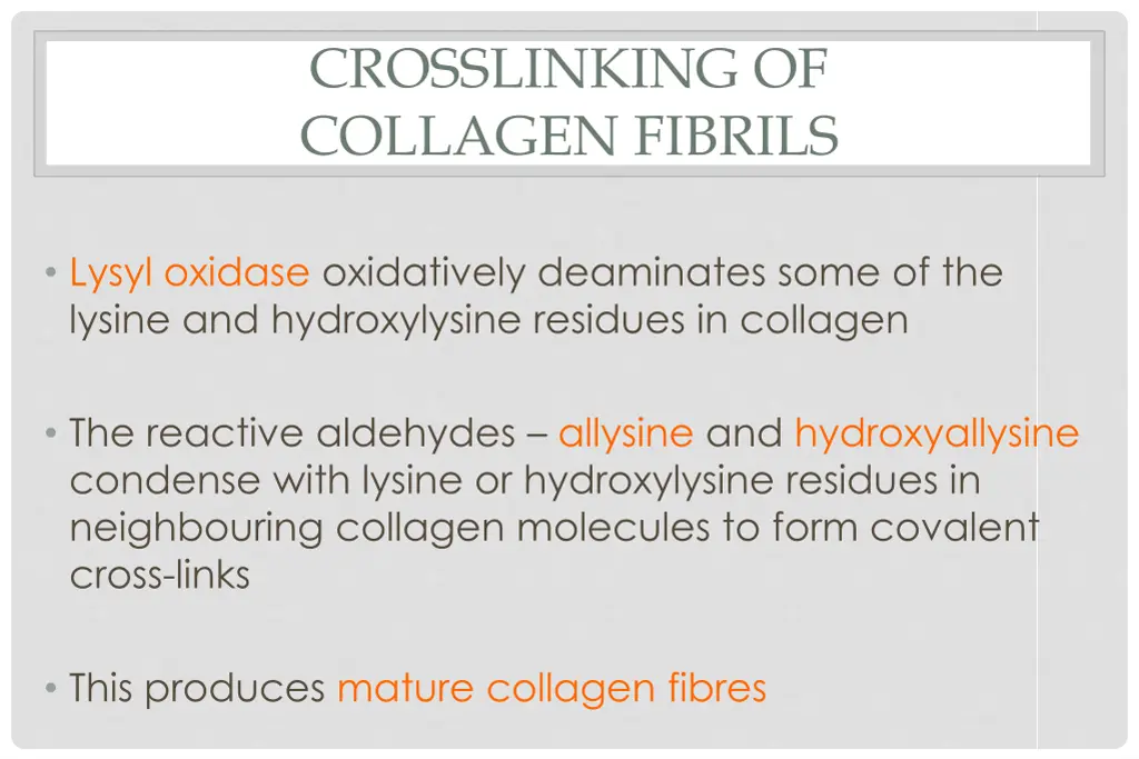 crosslinking of collagen fibrils