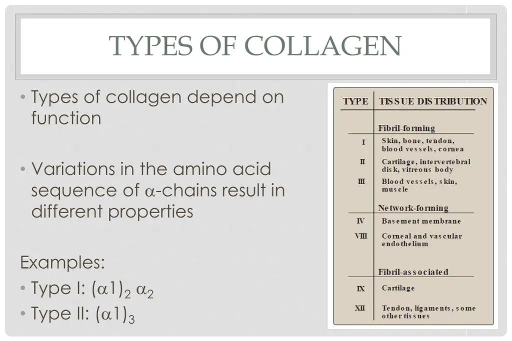 types of collagen