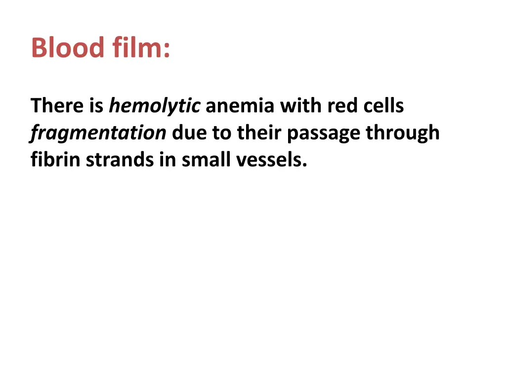 blood film