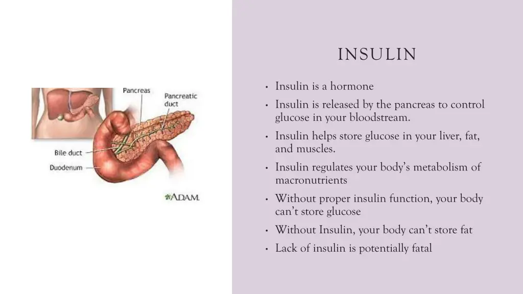 insulin