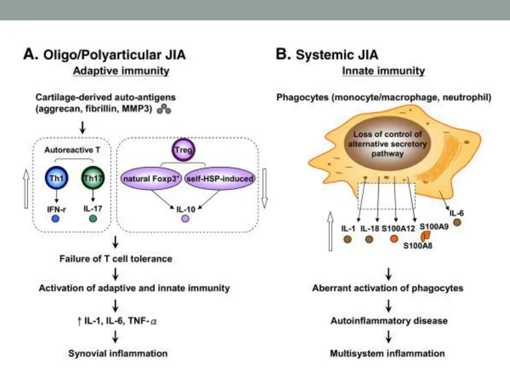 slide3