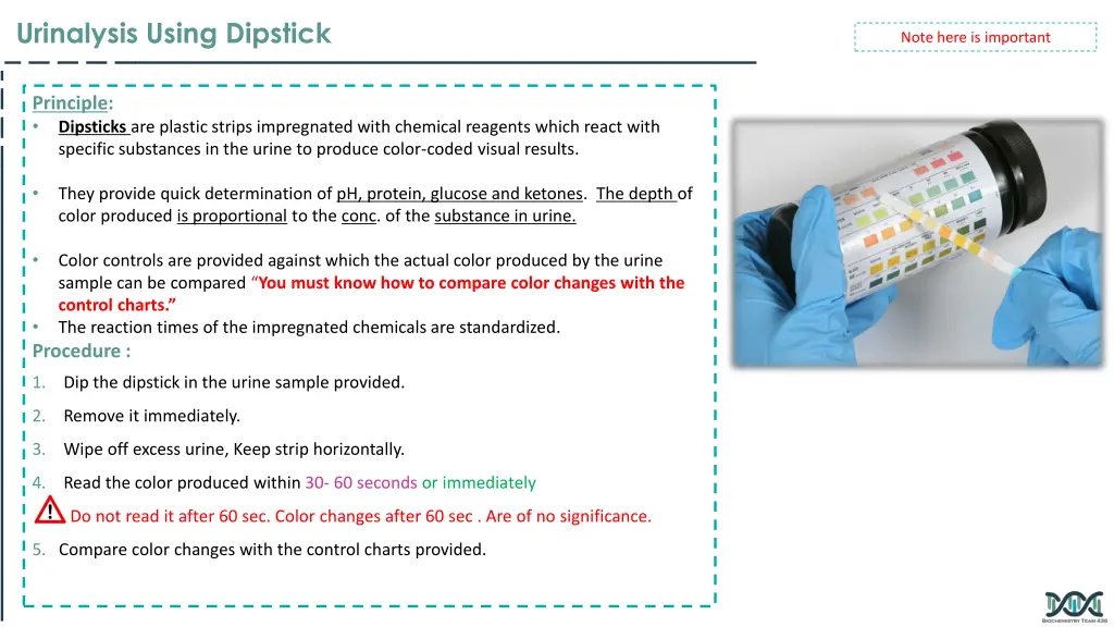 urinalysis using dipstick