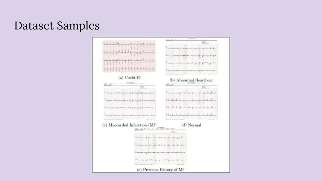 dataset samples