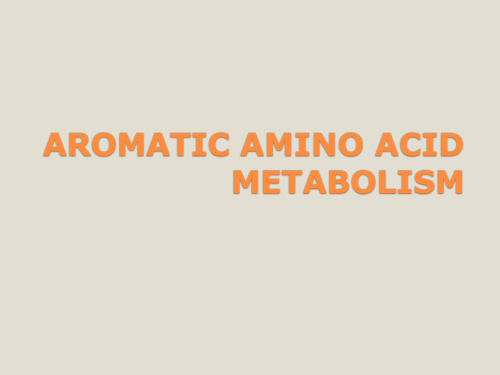 aromatic amino acid metabolism