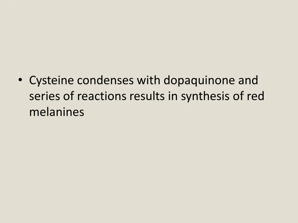 cysteine condenses with dopaquinone and series