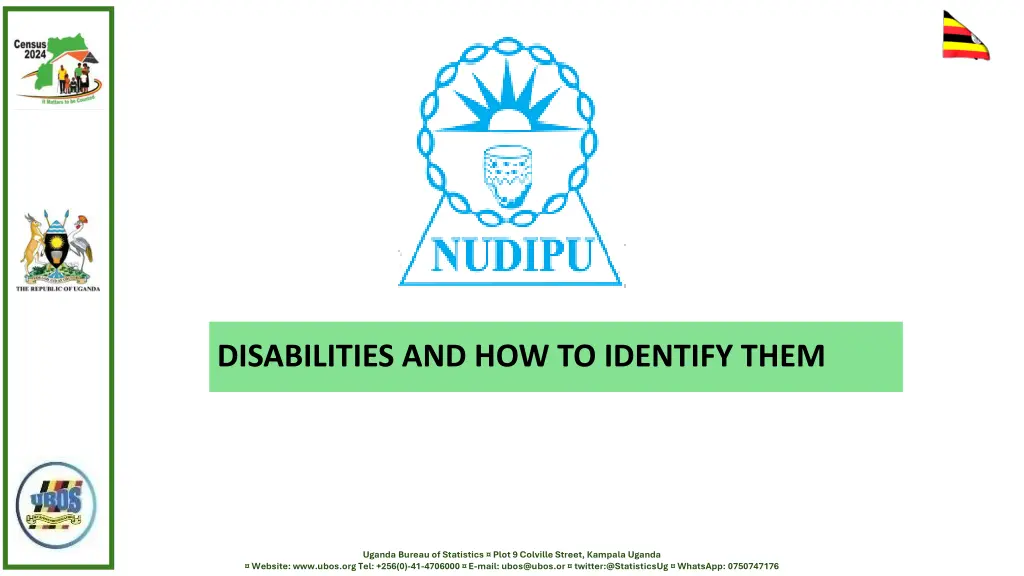 disabilities and how to identify them