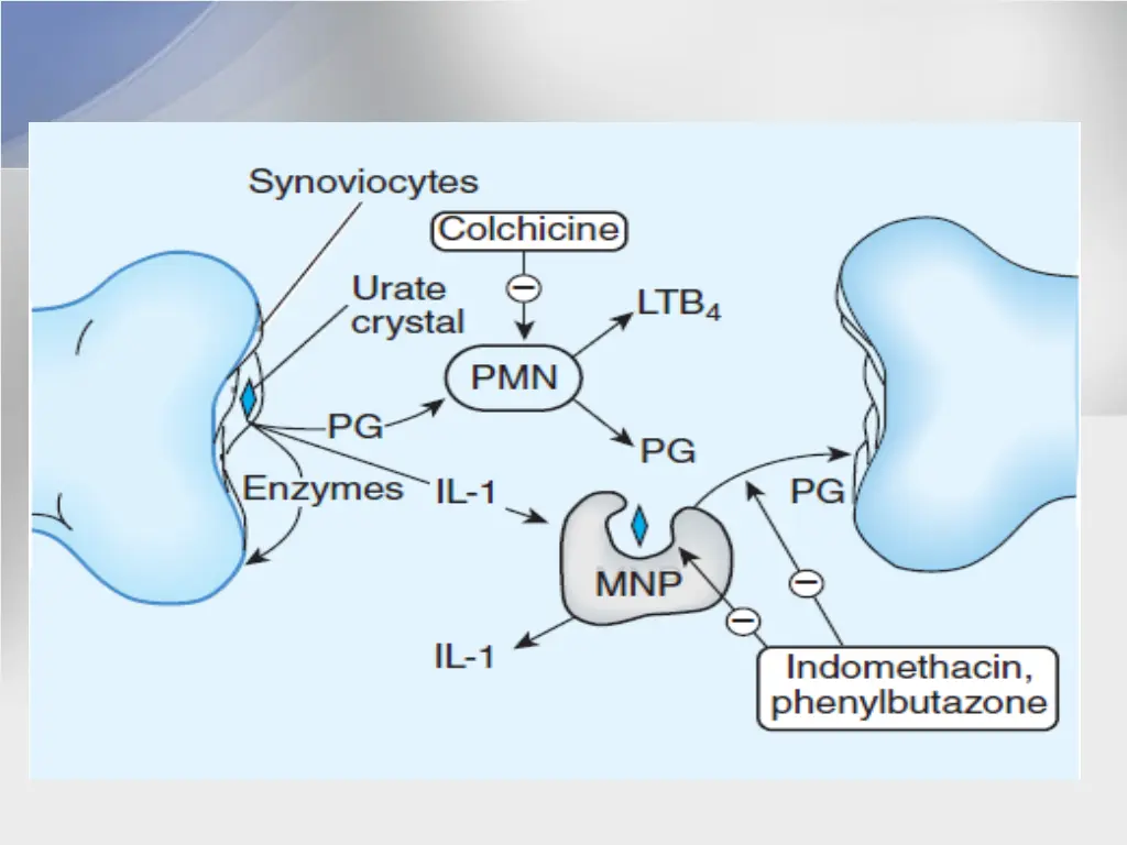 slide11