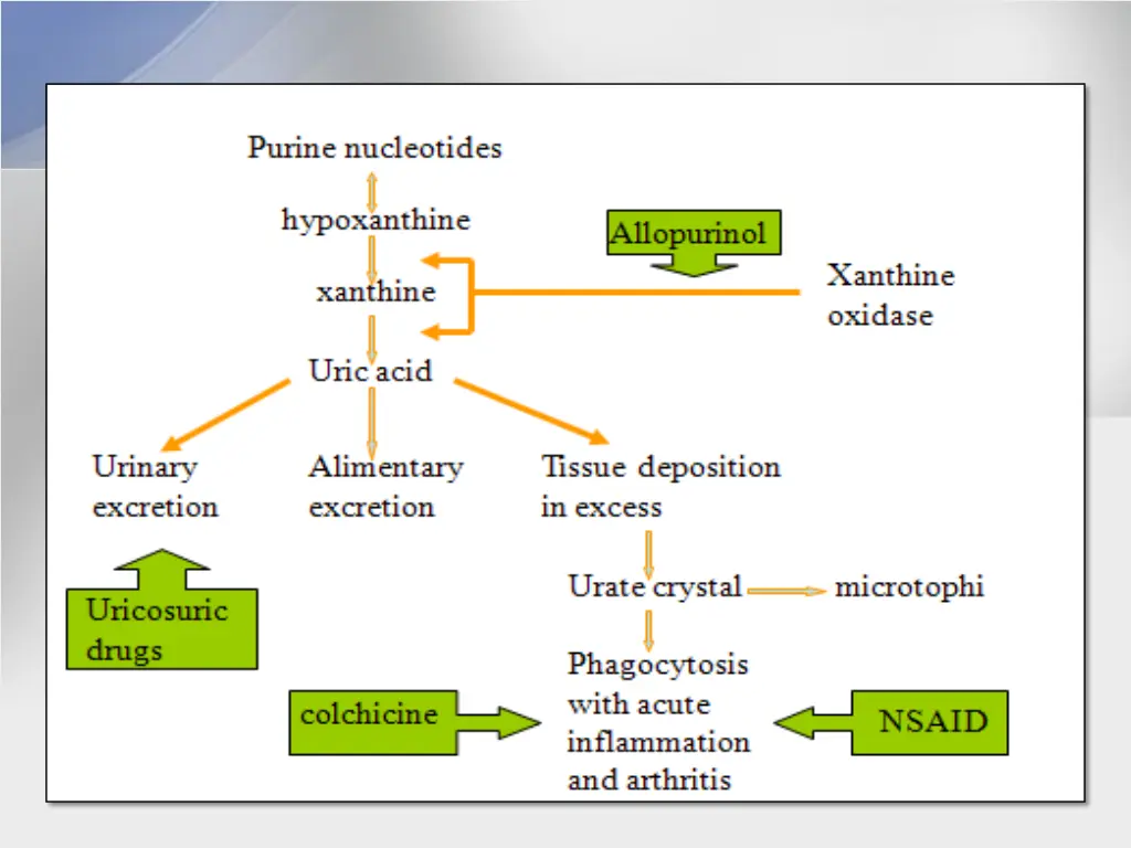 slide13
