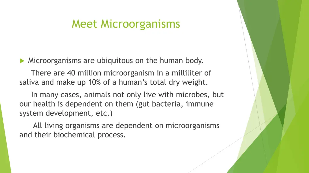 meet microorganisms 1