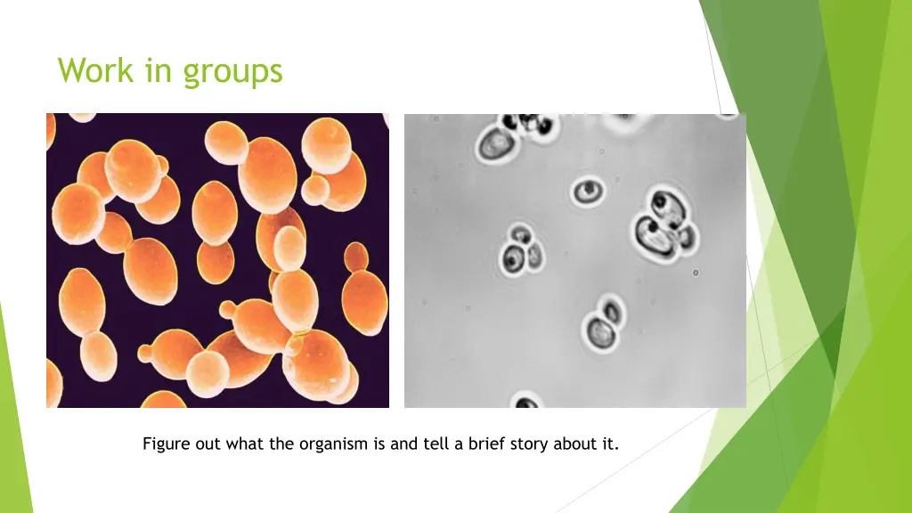 work in groups
