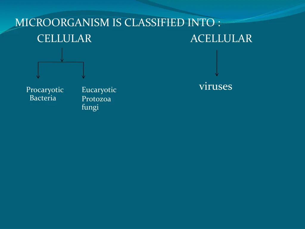 microorganism is classified into cellular