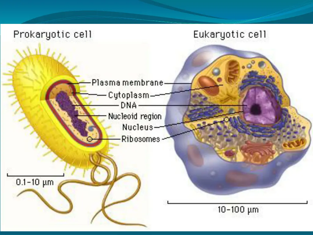 slide14