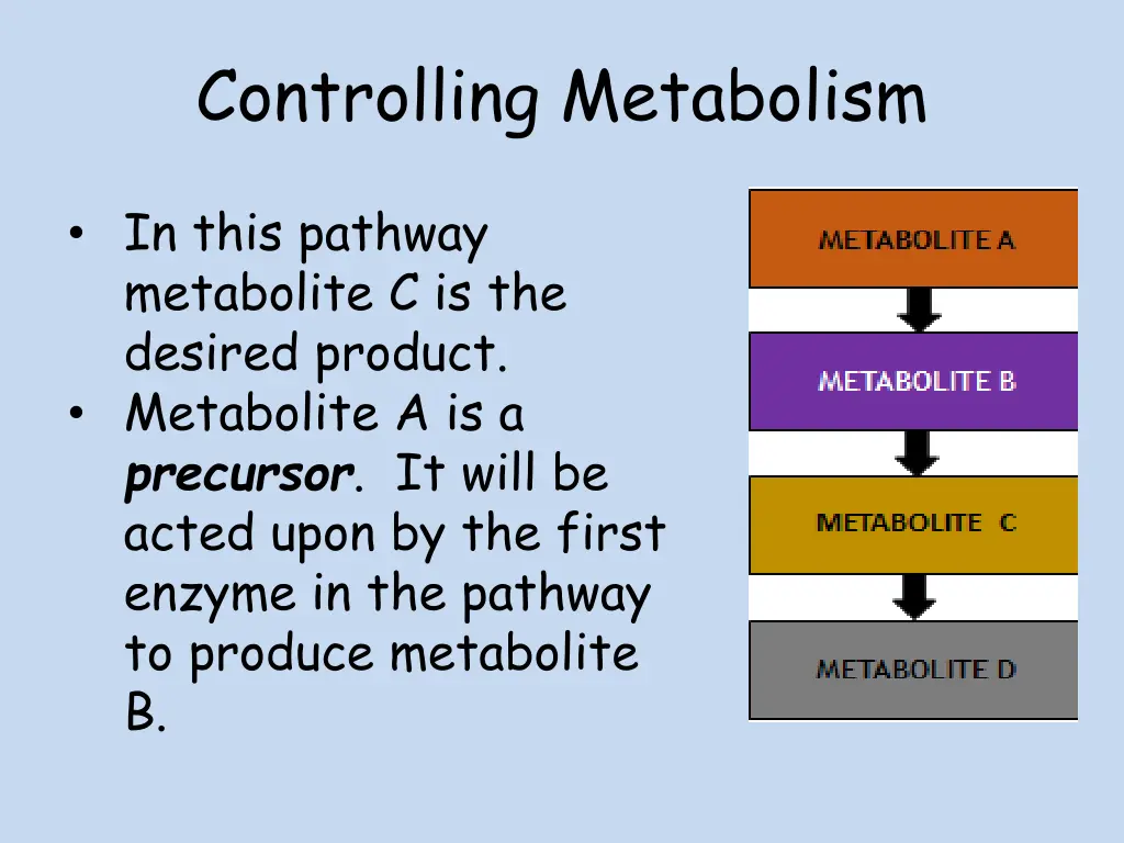 controlling metabolism 1