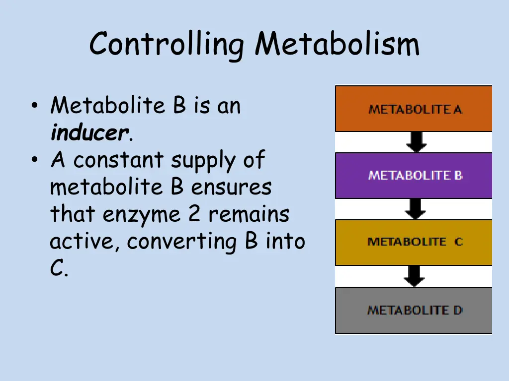 controlling metabolism 2