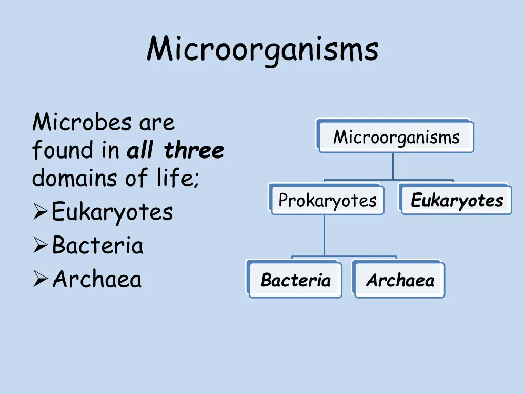 microorganisms 1