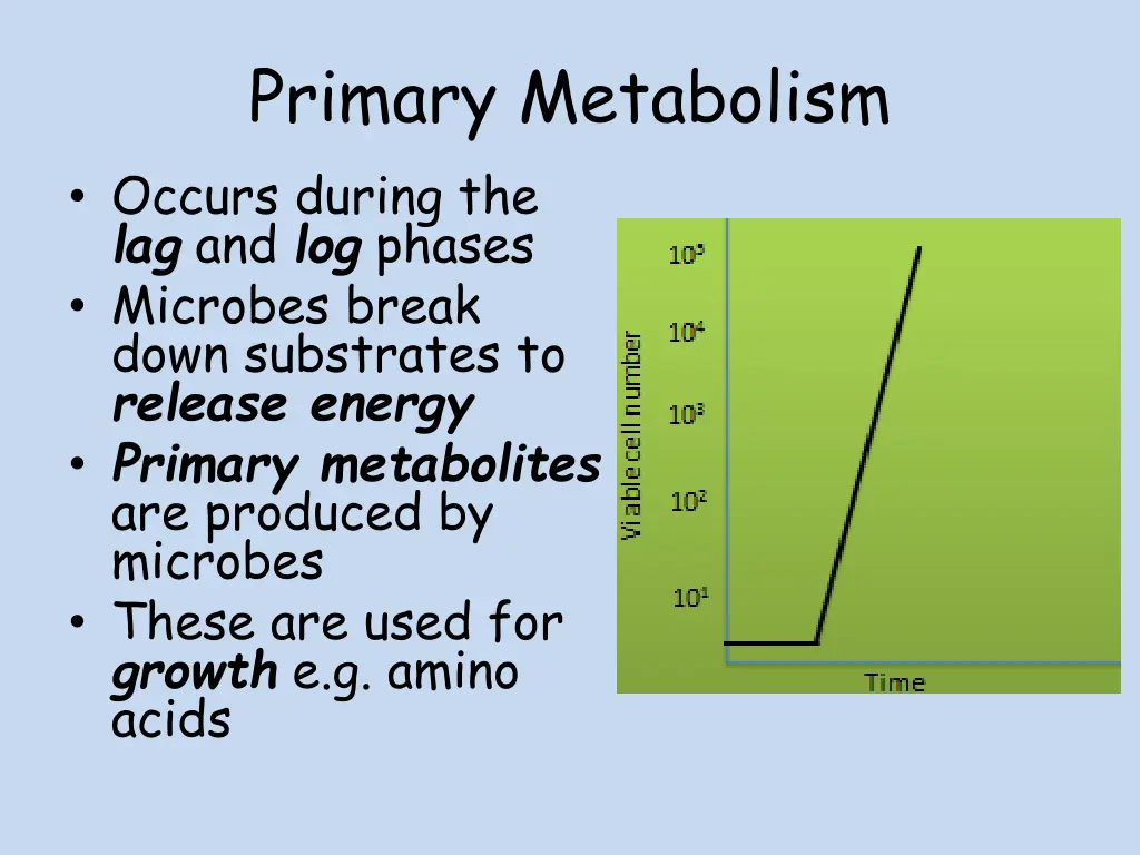primary metabolism occurs during