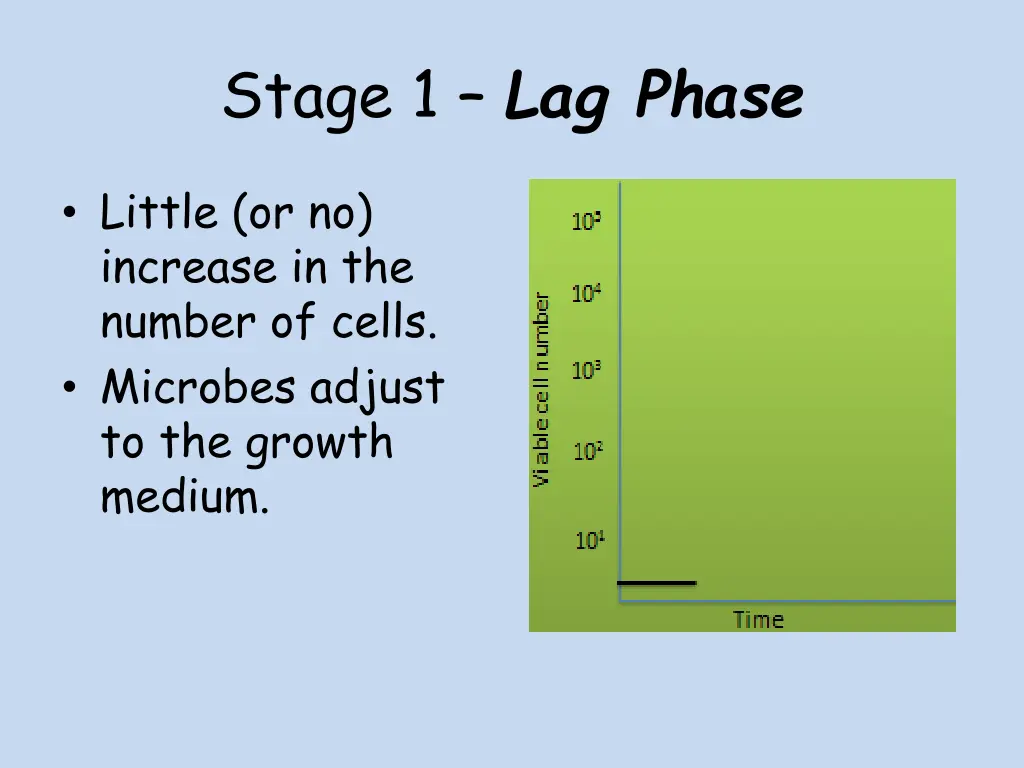 stage 1 lag phase