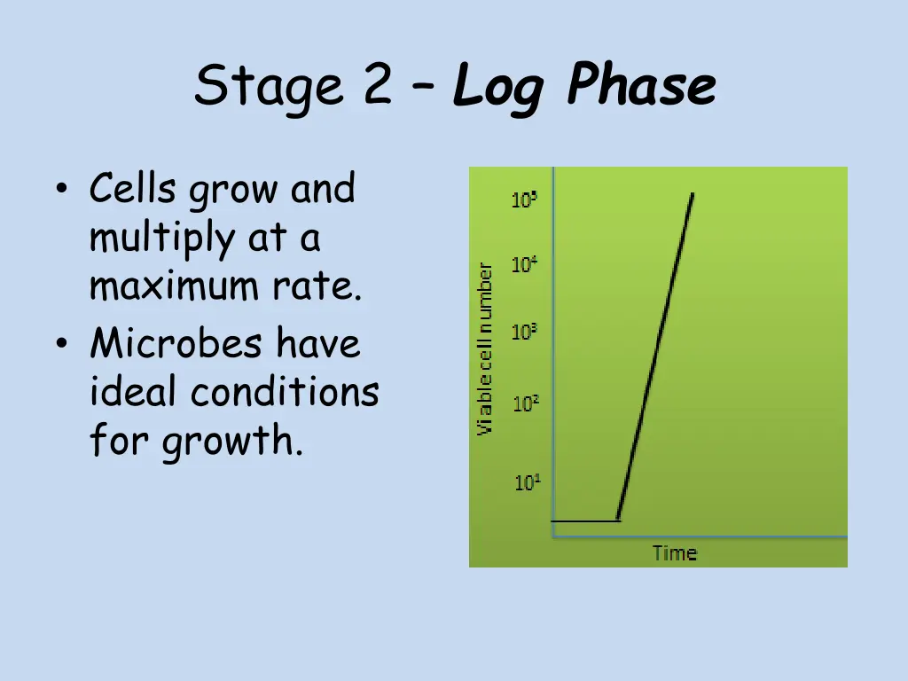 stage 2 log phase