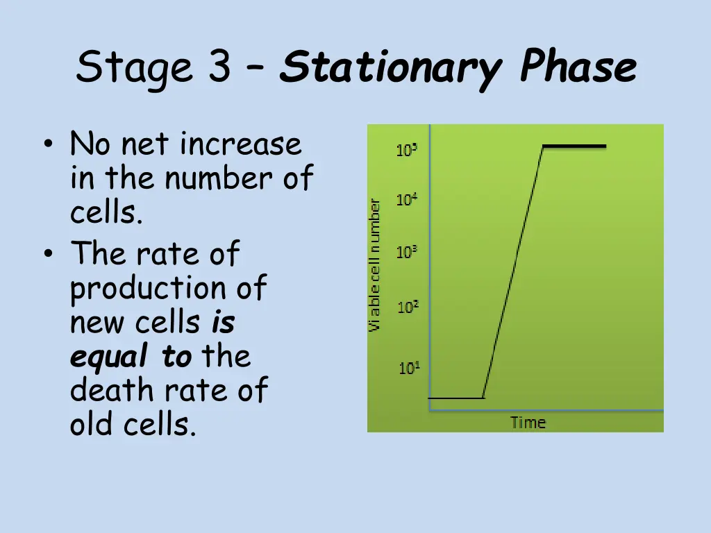 stage 3 stationary phase