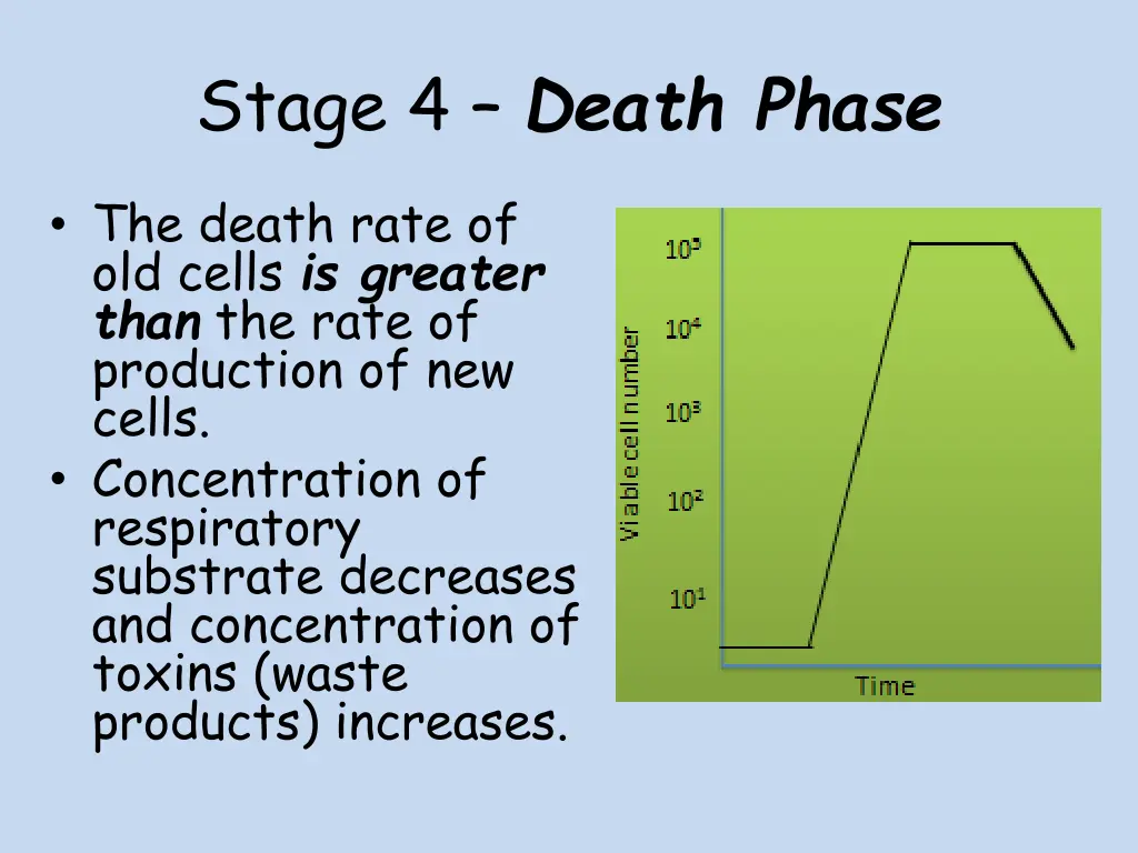 stage 4 death phase