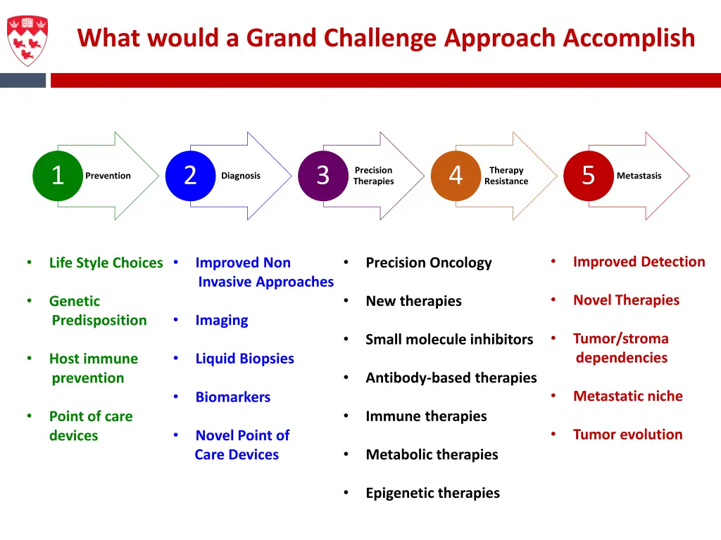 what would a grand challenge approach accomplish